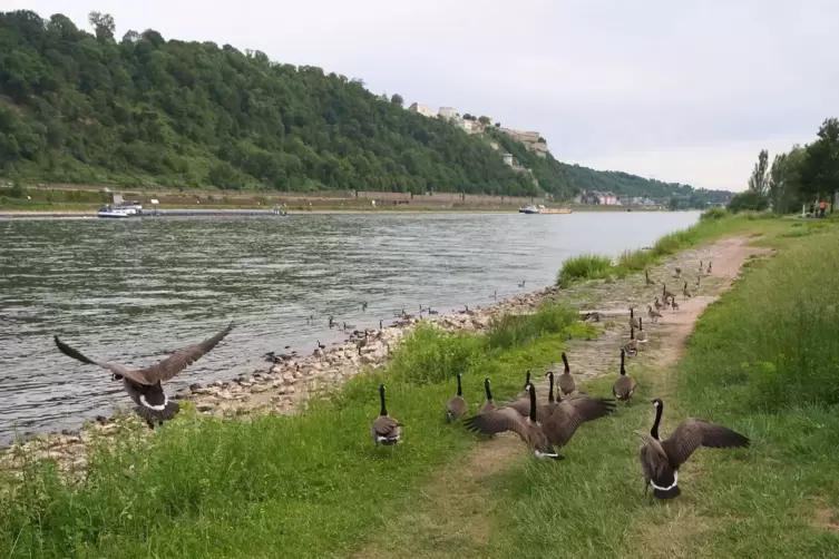 Wetter in Rheinland-Pfalz