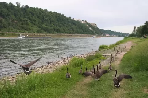 Wetter in Rheinland-Pfalz