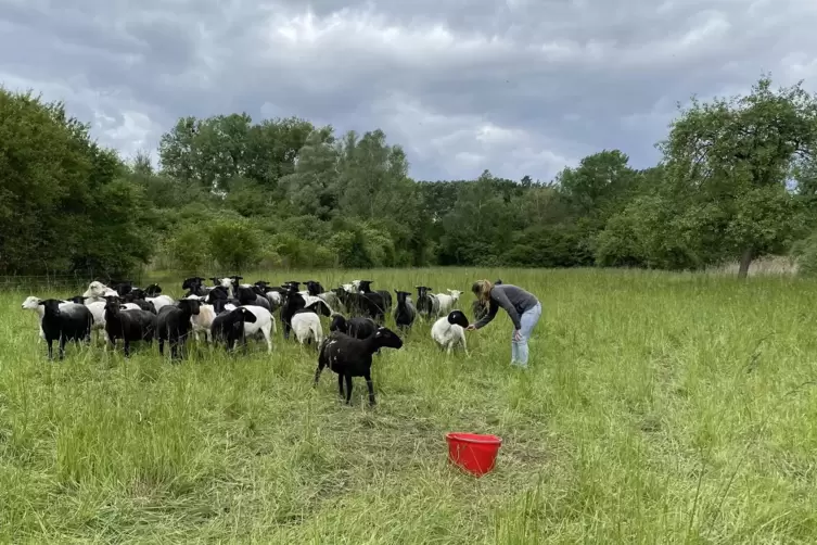 Familie Gruber schaut t&auml;glich nach den Tieren.