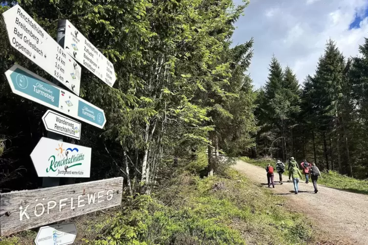 Auf dem Weg zum Buchkopfturm.