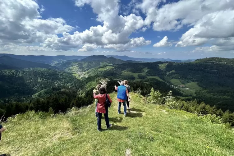 Der Sinfoniesteig f&uuml;hrt auch &uuml;ber H&ouml;henwege, die eine tolle Aussicht bieten. 