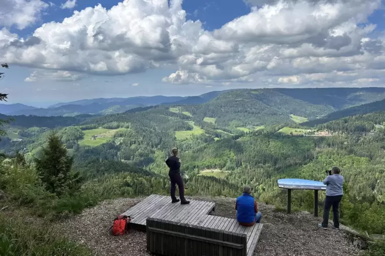 Auf der Marienruhe hat man nicht nur einen tollen Blick &uuml;ber den Schwarzwald. Direkt in der N&auml;he gibt es auch eine Getr&auml;nkestati