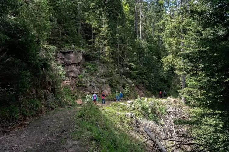 Bald ist der n&auml;chste Aussichtspunkt erreicht: Die Teufelskanzel