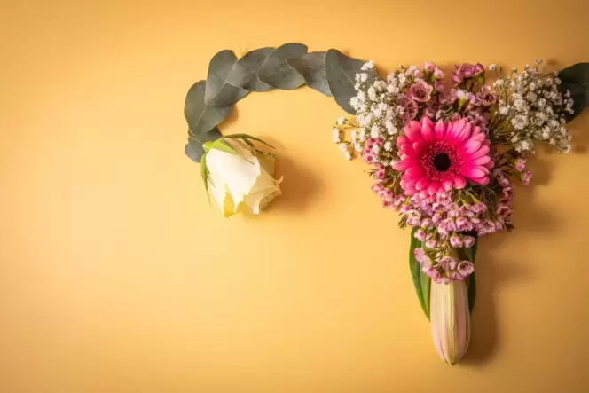 Weibliches Reproduktionssystem aus Blumen