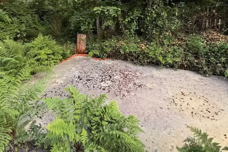 Einer der vom &Ouml;lunfall betroffenen Fischteiche. 