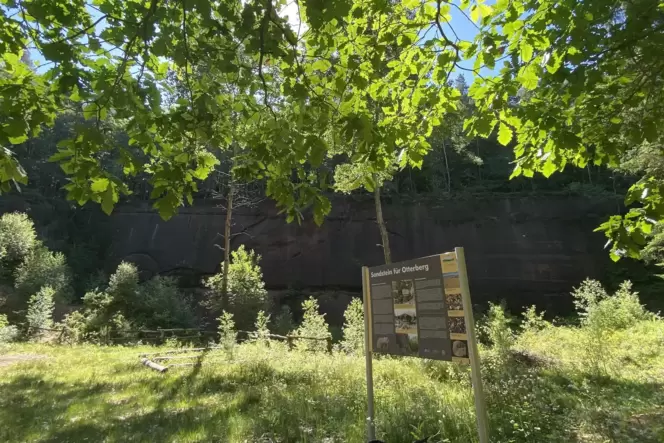 Schönes Ausflugsziel: der ehemalige Steinbruch Am Scheidewald bei Otterberg.