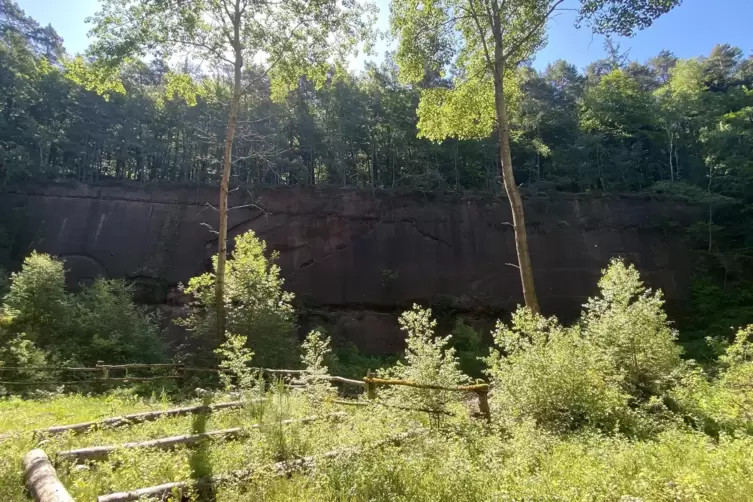 20 Meter ist die Sandsteinwand hoch.