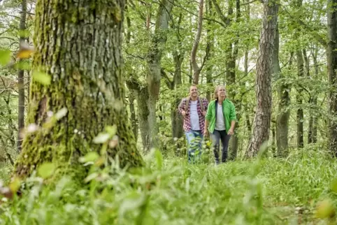 Solche Bilder könnten in Zukunft seltener werden: Der Wandermarathon am Donnersberg wurde in diesem Jahr abgesagt.