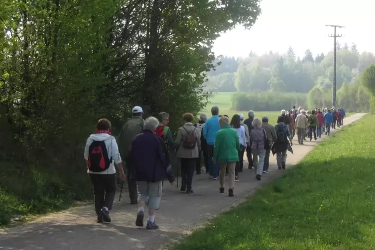 Veranstalter fordern eine schnelle &Auml;nderung des Landeswaldgesetzes.
