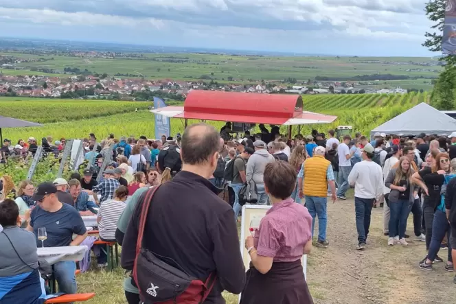 Wandern mit Wein und Weitblick: Am ersten Juni-Wochenende steht die Höllenpfad-Weinwanderung 2026 an.