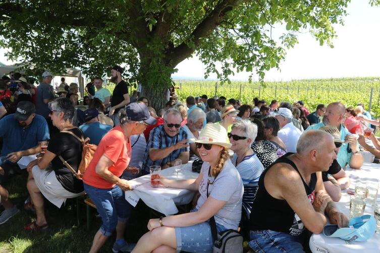 Da war es h&ouml;llisch hei&szlig;: H&ouml;llenpfad-Weinwanderung im Jahr 2019. 