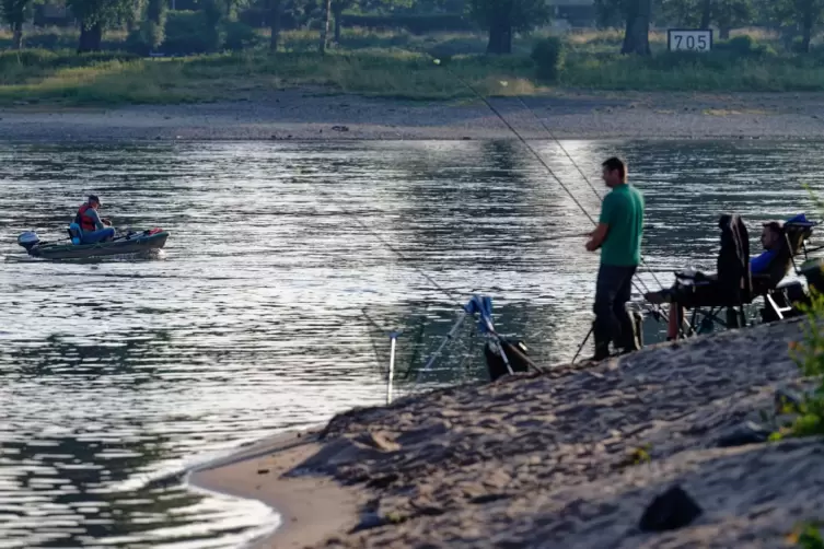 Angler sind verpflichtet, Schonzeiten und Mindestma&szlig;e zu beachten &ndash; aber wer kontrolliert das? 