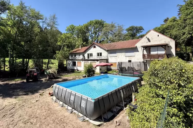 Aktuell wirkt der Garten der Hetschm&uuml;hle, in dem viele B&auml;ume gef&auml;llt wurden, kahl. Doch es sollen Neupflanzungen stattfinden.
