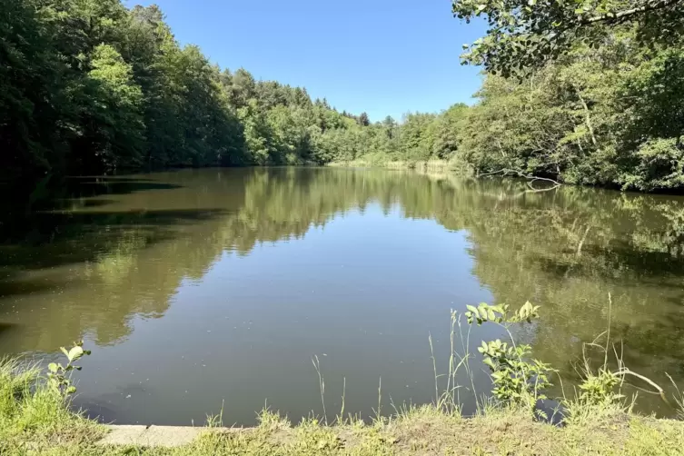 Der 220 Meter lange Hetschm&uuml;hl-Weiher, auf dem sich im Winter gern Schlittschuhl&auml;ufer tummeln.