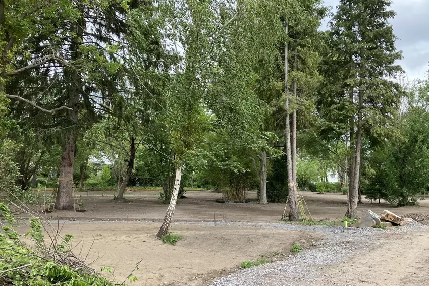 Als urbaner Park ist der künftige Eingangsbereich der Landesgartenschau angelegt.