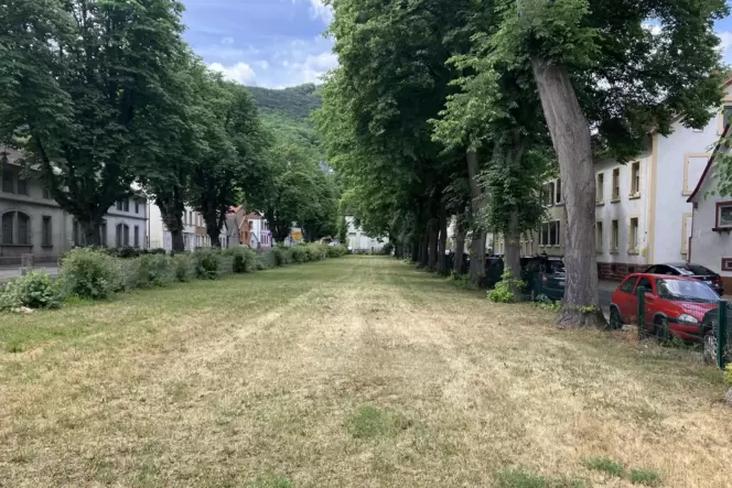 Die Grünanlage Seilerbahn ist derzeit wenig attraktiv.