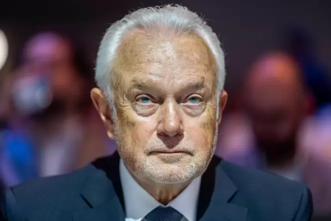 Der neue FDP-Chef Wolfgang Kubicki.