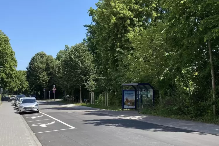 Eingezeichnet: neue Behindertenparkpl&auml;tze auf der Fahrbahn der Holzstra&szlig;e gegen&uuml;ber der fr&uuml;heren Haltestelle.