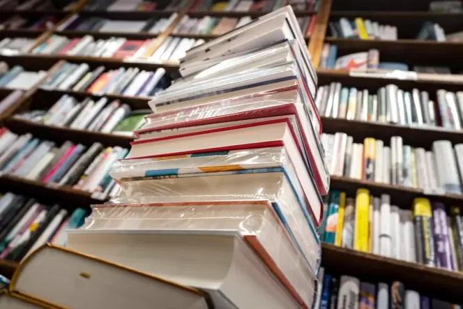 Die Teilnehmer können sich kostenlos aktuelle Kinder- und Jugendbücher ausleihen.