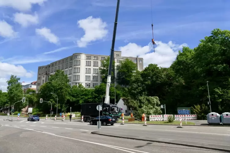 Ein riesiger Schwerlastkran bef&ouml;rdert die Forstarbeiter &uuml;ber die Luft in die Baumkrone und holt dort die abgeschnittenen Baumtei