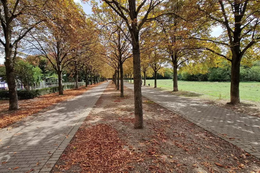 Blick in den Friedenspark.