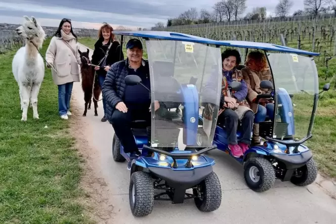 Die E-Scooter ermöglichen mobilitätseingeschränkten Menschen die Teilnahme an Lama-Wanderungen.