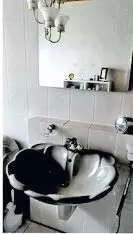 11253689_10_1 verkaufen, 2 Badezimmerspiegel jeder mit Beleuchtung, Breite: 70 cm, Höhe: 92 cm, 80,- €, 2 Waschbecken Orchidee grau von Duravi