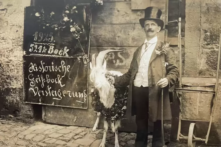 W&auml;hrend das Tierwohl heute h&ouml;chste Priorit&auml;t hat, gab es eine Zeit, in der dem Gei&szlig;bock Bier und Tabak eingefl&ouml;&szlig;t wurden. 