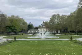 Der Ebertpark dient als Konzertkulisse.
