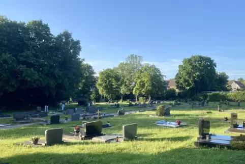 Der Fehrbacher Friedhof soll mit Blühwiesen und zwei Bäumen in der Mitte einen höheren Artenreichtum erhalten. 