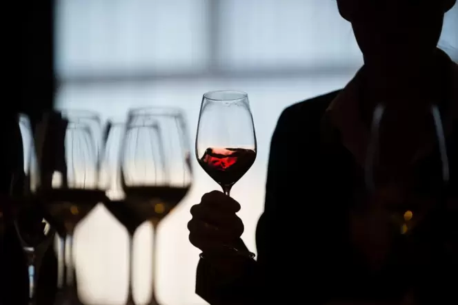 Das Weinerlebnis ist das Schaufenster für die Weine von der Südlichen Weinstraße und aus Landau.