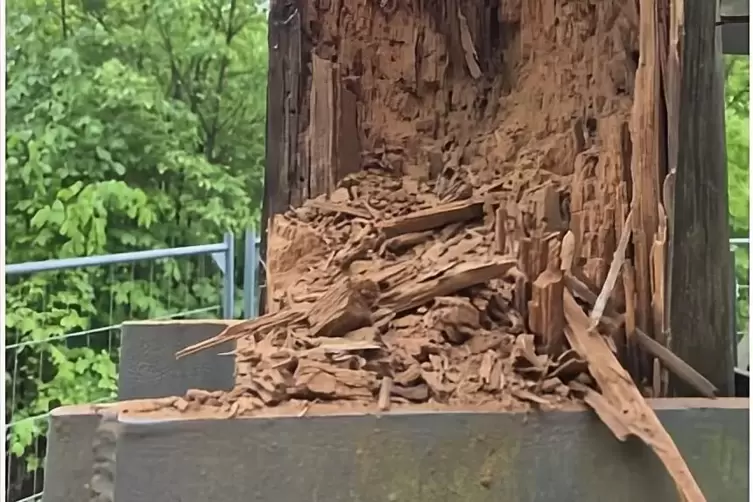 Die Sch&auml;den an der Holzkonstruktion sind deutlich zu erkennen. 