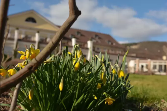 Der Bad Dürkheimer Kurpark im Frühling.