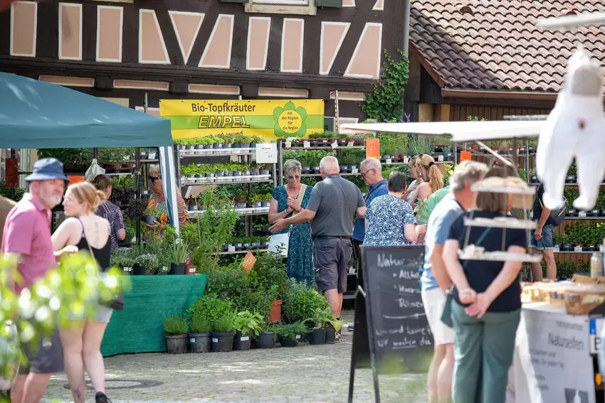 Besucher konnten durch herkömmliche und ausgefallene Kräutersorten stöbern.