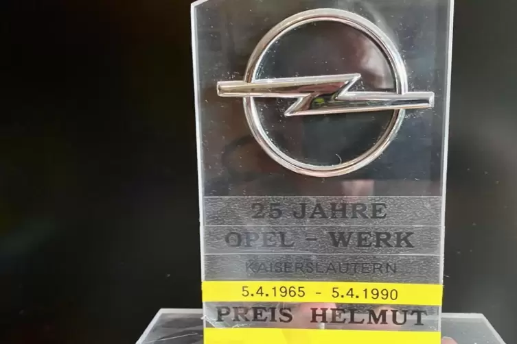 Ehrenzeichen. Alles tr&auml;gt den Blitz.
