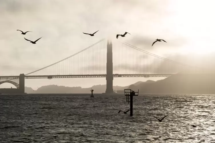 Golden Gate Bridge