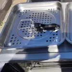 11253956_10_1 Modell Vitadelice; ein Multitalent für die gesunde Küche mit 18 automatischen Programmen, die das Garen, Braten und Backen er