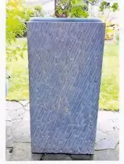 mit Pflanze Bugavillear,1 Jahr alt, Höhe 81 / Breite 40 cm, je 100 €