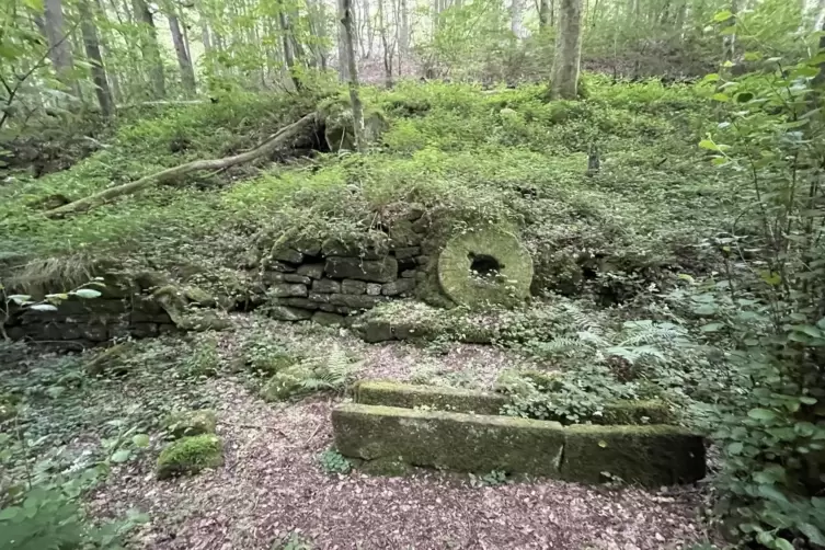 Magischer Mu&szlig;bach: Tour entlang des Bachlaufs von Mu&szlig;bach ins idyllische Gimmeldinger Tal.