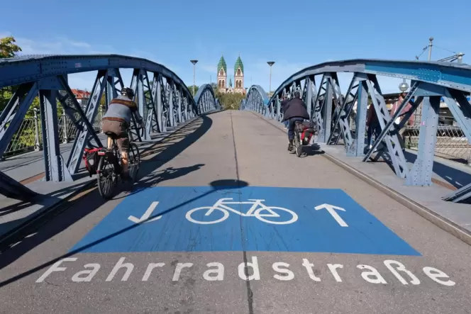 Die Freiburger Wiwilibrücke steht unter Denkmalschutz und ist für Autofahrer gesperrt. Bis zu 10.000 Radler befahren sie täglich