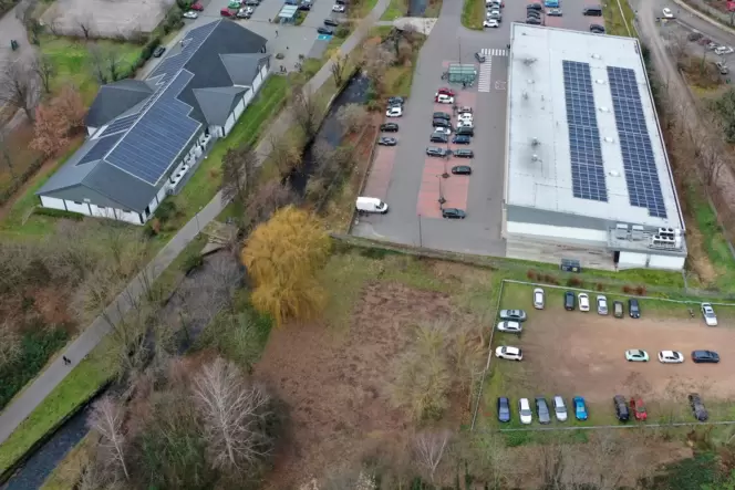 Die Fläche im Vordergrund neben dem Speyerbach soll zur Hundewiese werden. Darüber ist das Lidl-Gelände zu sehen.
