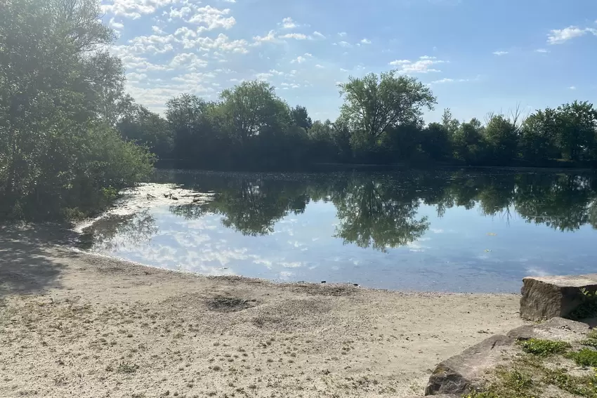 Fadenalgenwachstum und Gänsedreck: Einladend ist das Wasser derzeit nicht.