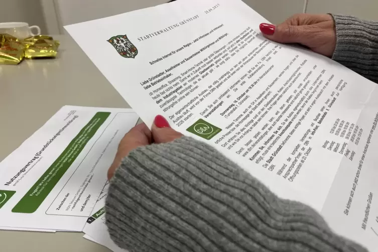 Brachte dem damaligen B&uuml;rgermeister &Auml;rger: von DBN verschickte Werbung mit einem amtlichen Schreiben. 