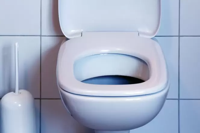Toilettenschüssel