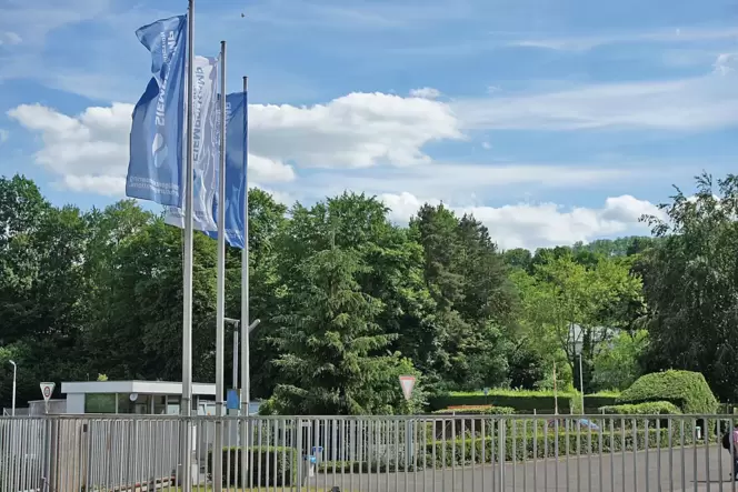 Im Zweibrücker Siempelkamp-Werk geht Angst um die Arbeitsplätze um.