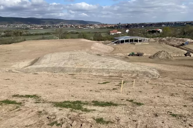Blick vom Deponiehügel auf den Maifischgraben, der nach Wünschen der Stadt nach der Landesgartenschau Glamping-Urlauber empfange