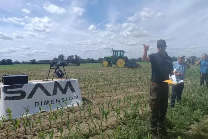 Mit »Spotspraying«, punktgenauem Sprühen mit Drohnenunterstützung könnten Schädlinge künftig bekämpft werden.