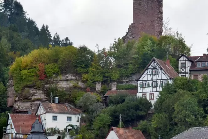 Wer in Elmstein wohnt, hat den Pfälzerwald direkt vor der Haustür.