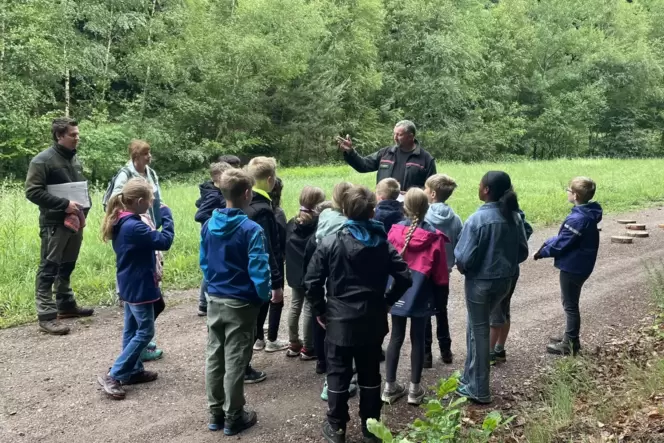 Die Schallodenbacher Schüler lauschen aufmerksam, was Forstwirtschaftsmeister Roland Grim ihnen über Nachhaltigkeit erzählt. Gan