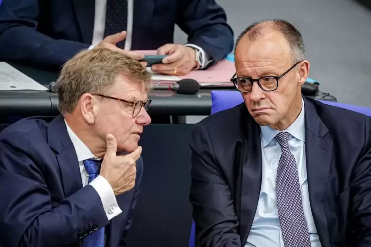 Merz und Wadephul
